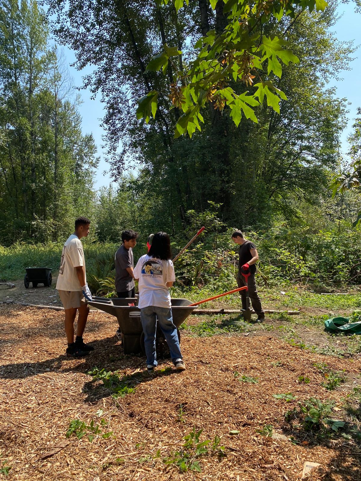 11\/9 Swamp Creek Habitat Restoration Project - Wallace Swamp Creek Park