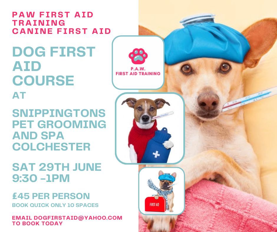 PAW First, Canine First Aid Course