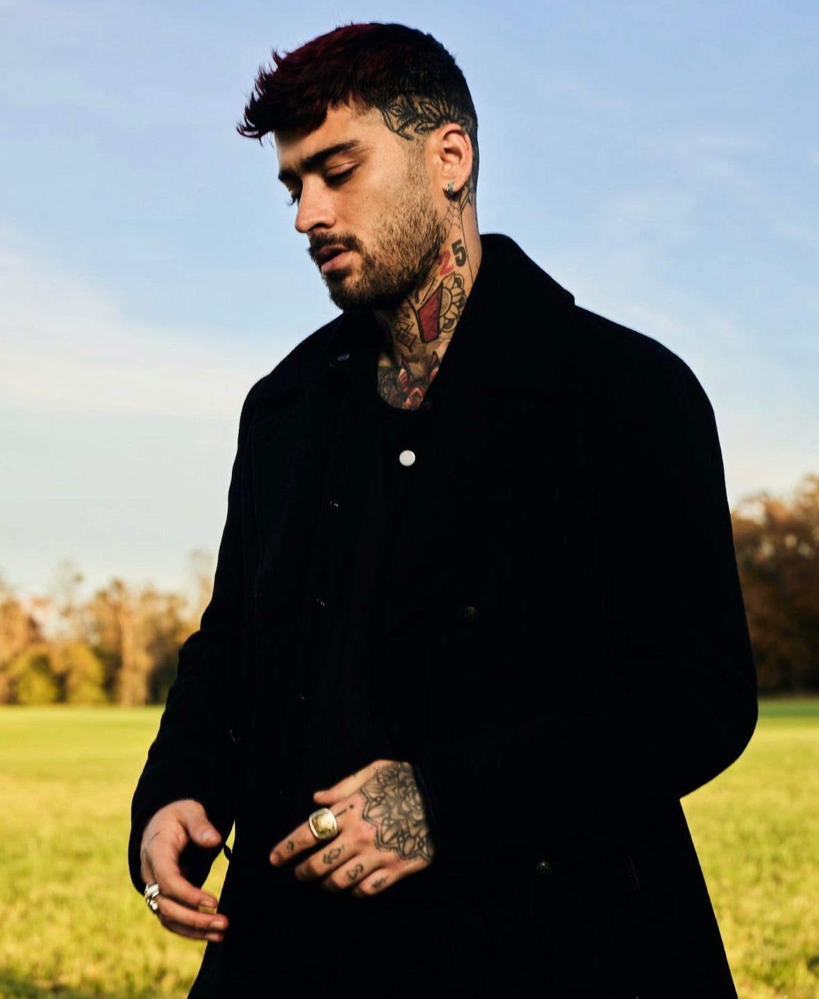 Zayn - Stairway To The Sky 2024