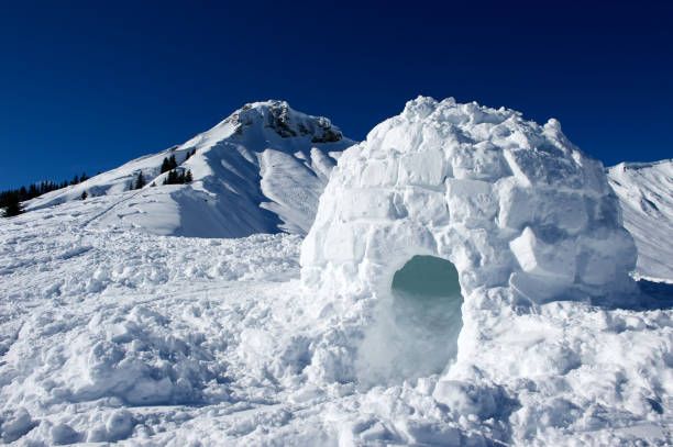 I think we can build an igloo indoors, wanna try?