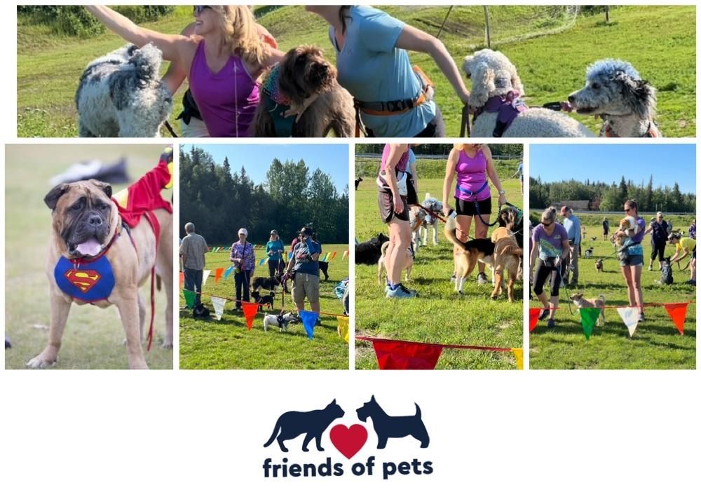 Friends of Pets 30th Dog Jog