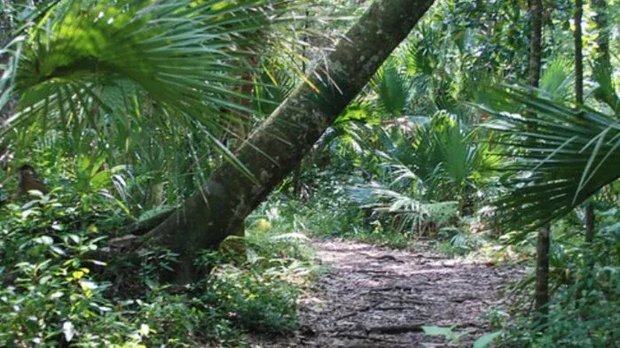 Morning Hike - Jay B. Starkey Wilderness Park - 3.8 mile hike\/ramble