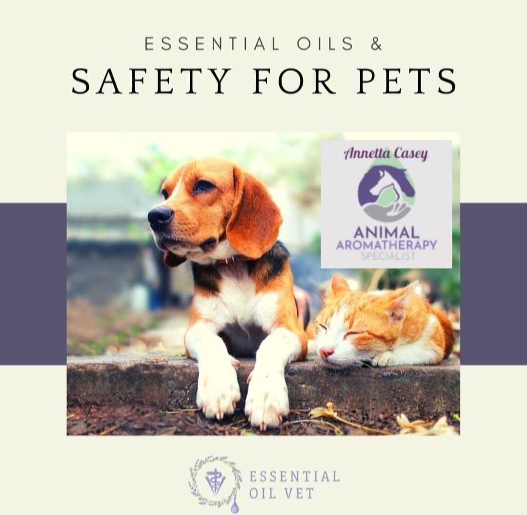 Essential Oils for Dogs, Make & Take , Essential Oil Spray for Ticks 