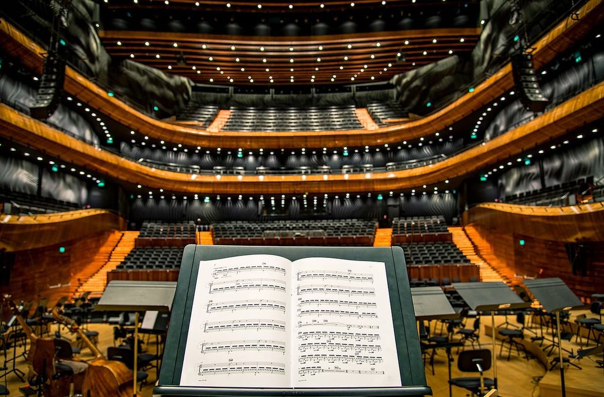 Home Alone in Concert with Detroit Symphony Orchestra at Max M. and Marjorie S. Fisher Music Center - Orchestra Hall