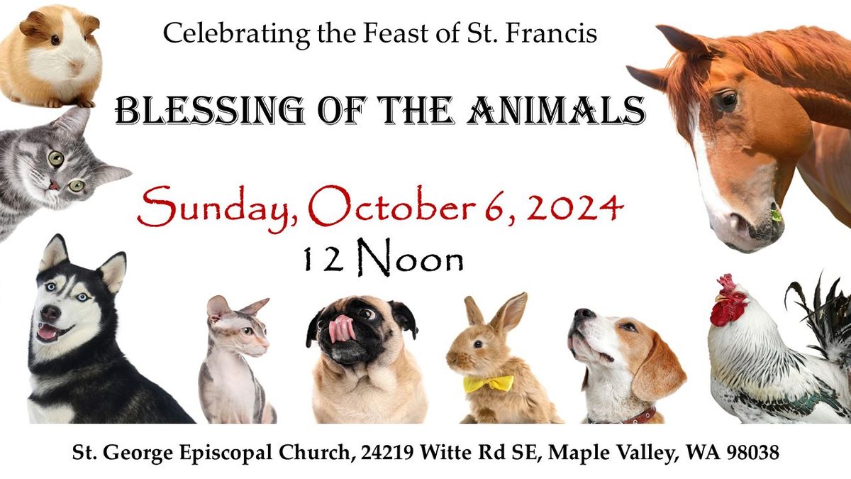 Blessing of the Animals