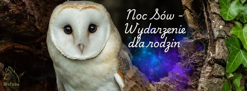 Noc S\u00f3w 2025 - Wydarzenie dla rodzin