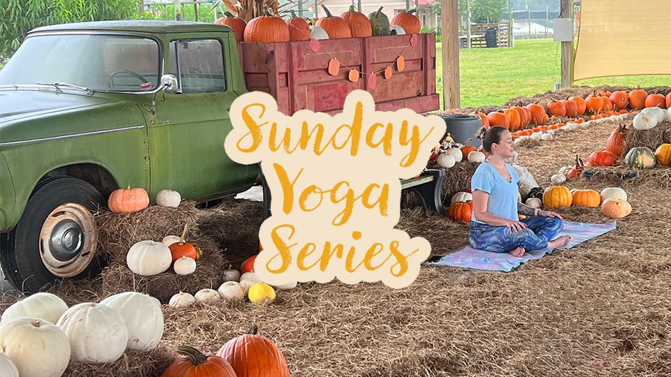 Sunday Yoga Series