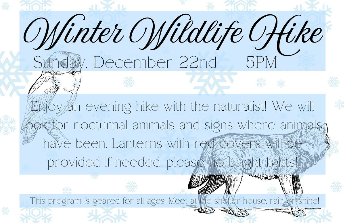 Winter Wildlife Hike