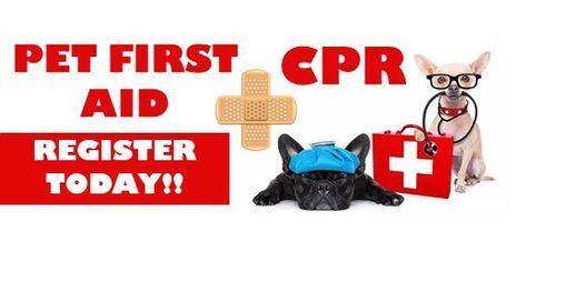 Pet CPR & First Aid Training Class - Uptown CLT
