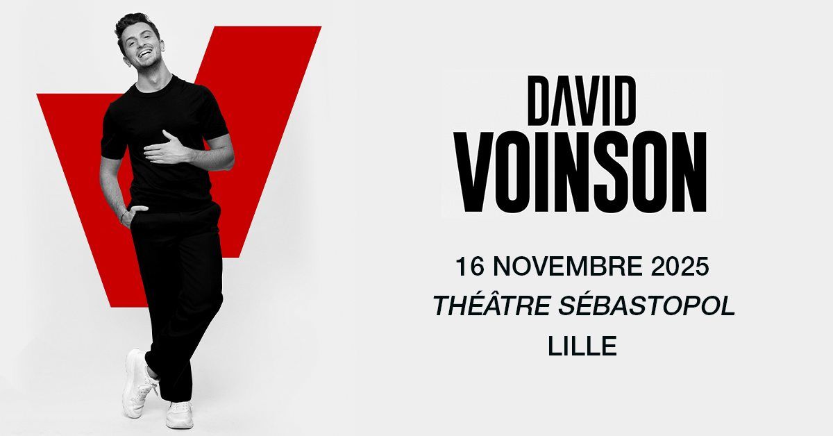 David Voinson - Th\u00e9\u00e2tre S\u00e9bastopol, Lille - 16.11.2025