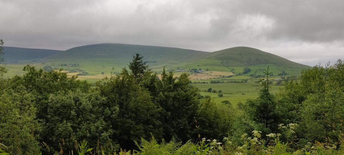 Activity Day at the Beacon Fell Country Park