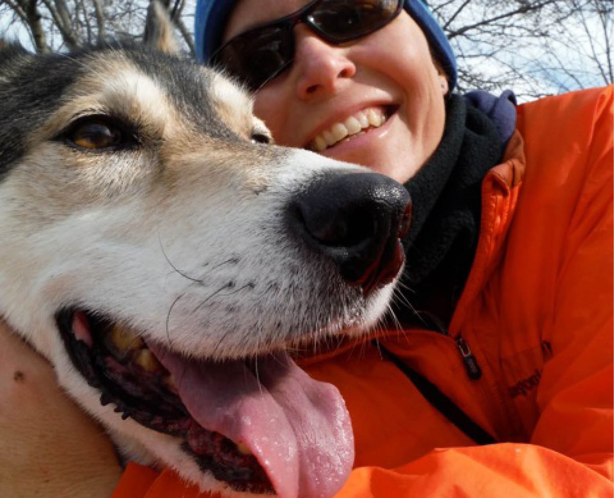 MUSH with Noggin, the Sled Dog! (and her human Karen Land)