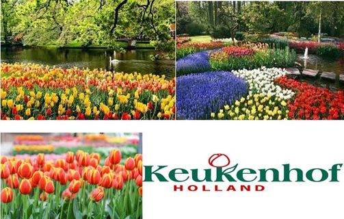 1 jour à Keukenhof, online, 29 April 2022