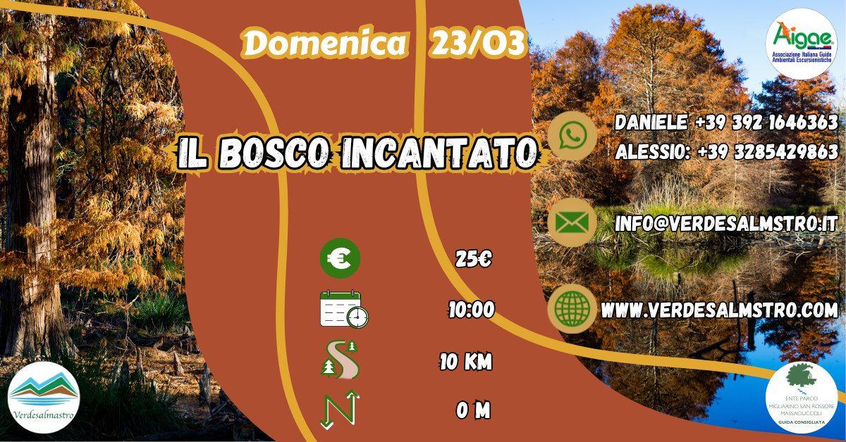 Il Bosco Incantato