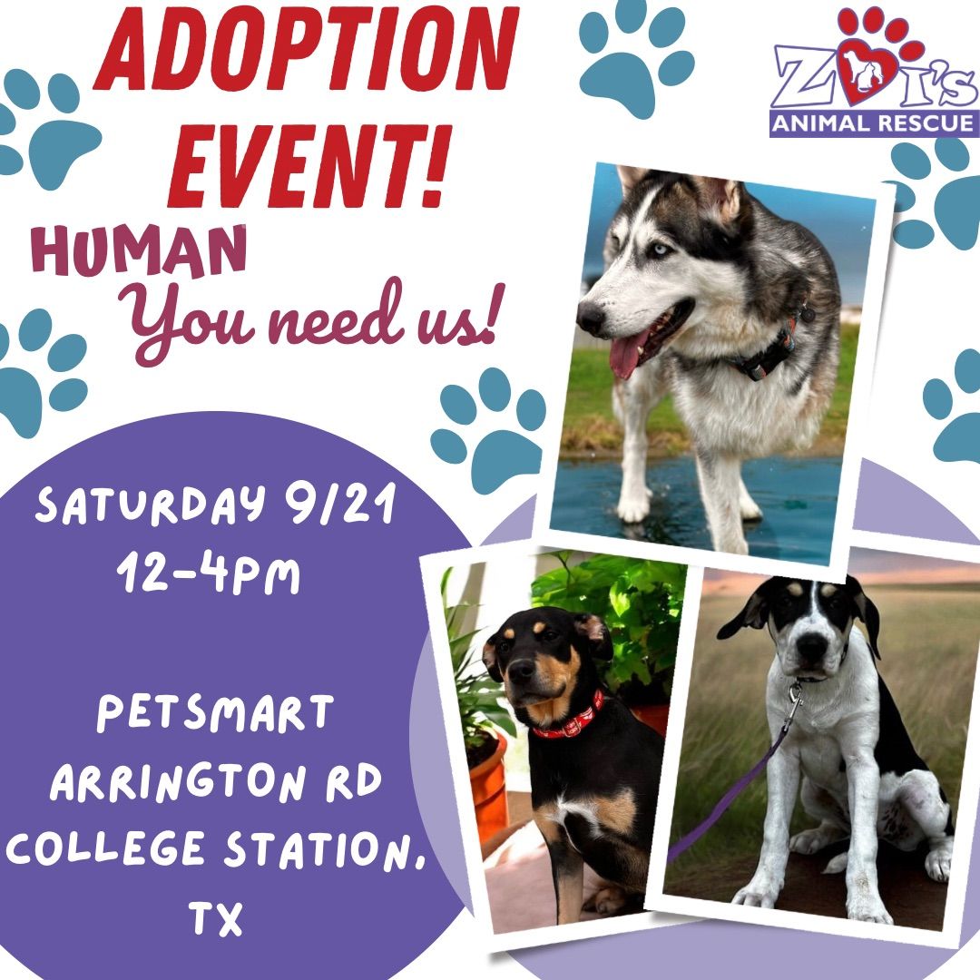 Adoption Event @ Petsmart! 