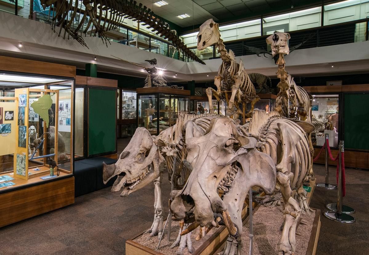 ASN - Exclusive Relaxed Zoology Museum Visit