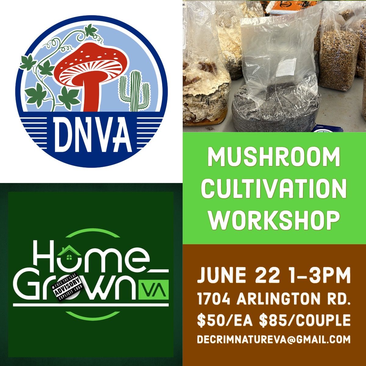 Mushroom Cultivation Workshop