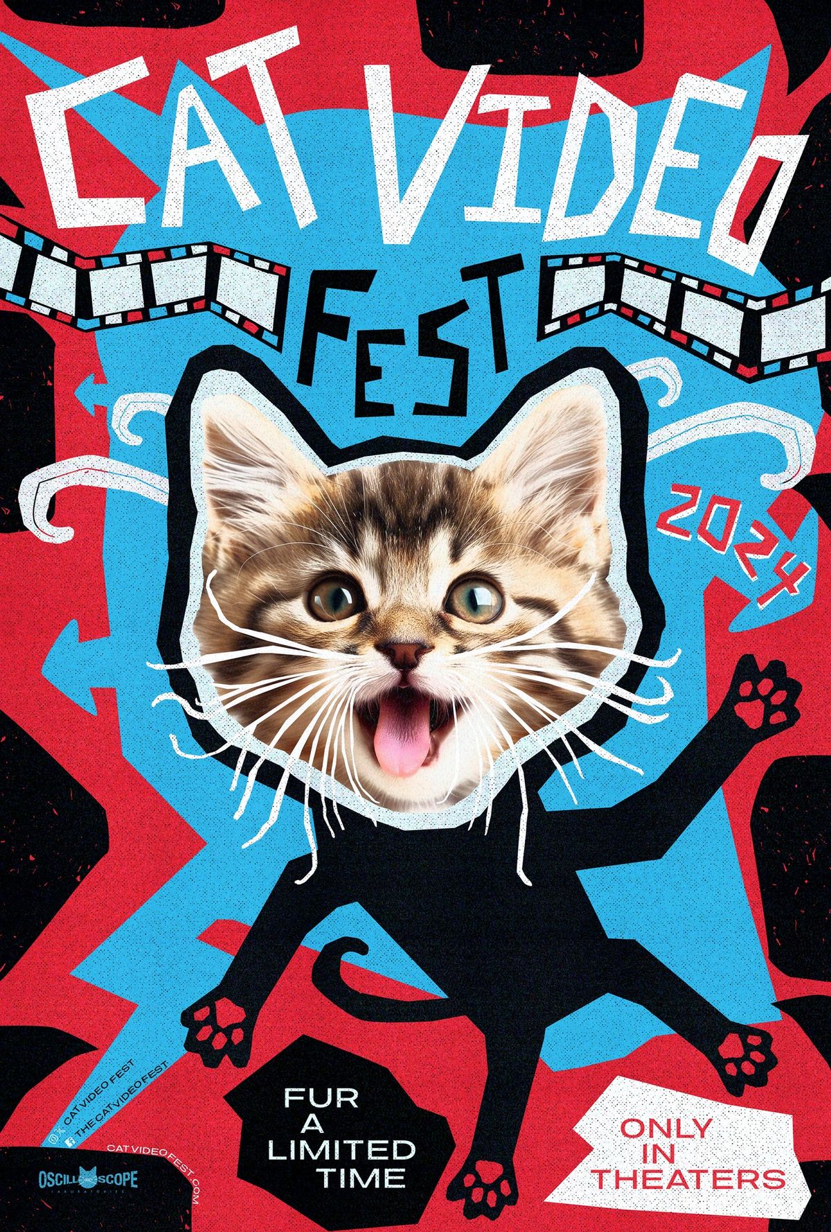 CatVideoFest 2024 at the Speed Cinema