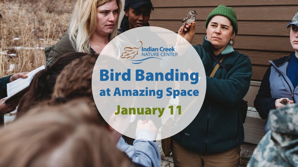 Bird Banding at Amazing Space