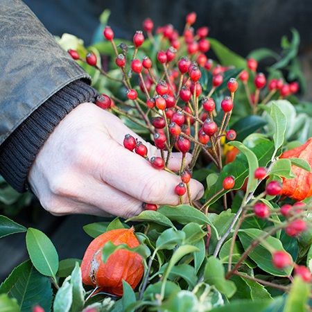 Top seller: Christmas Foliage Wreaths Workshop