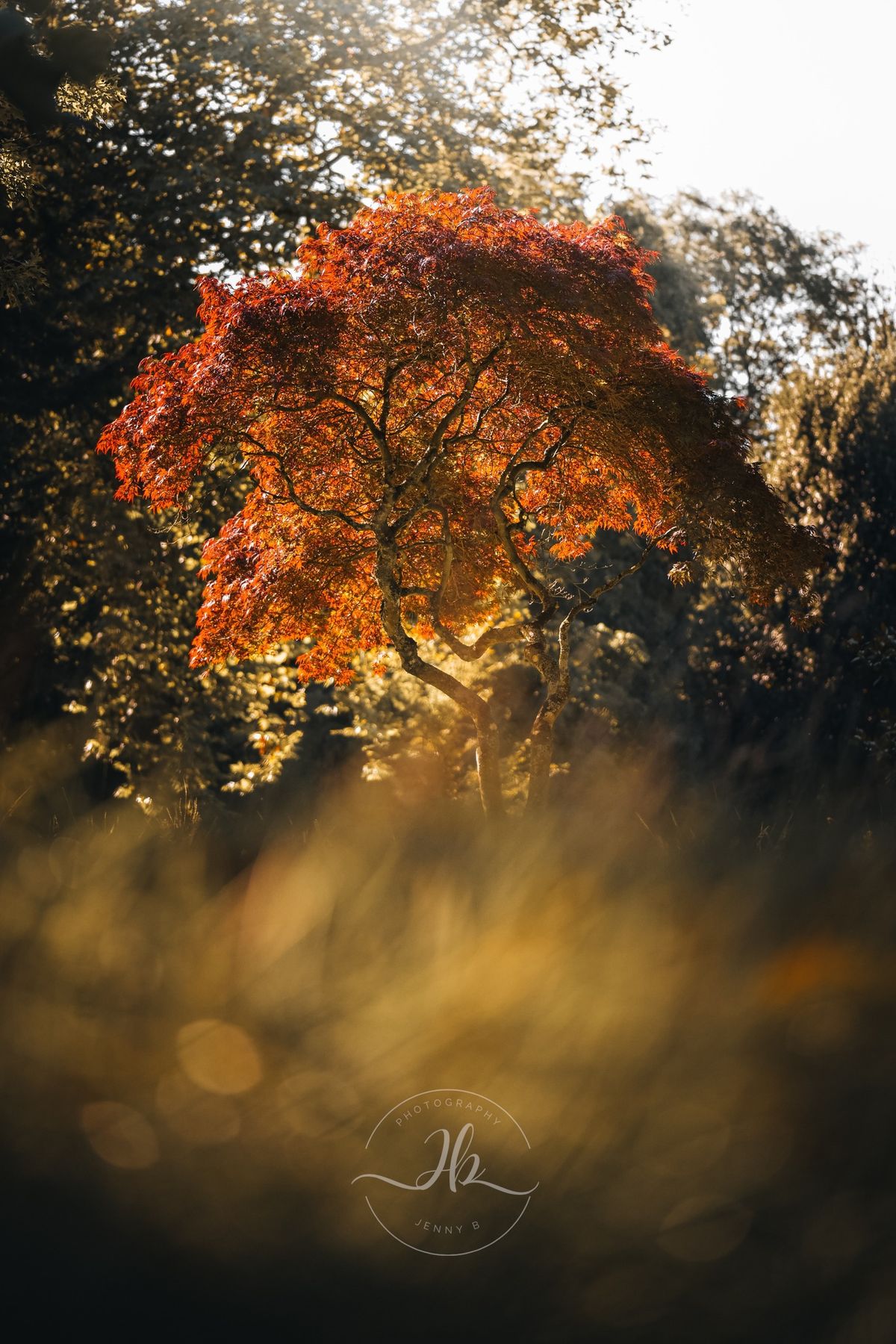 The Saturday Margam Photography Walk 