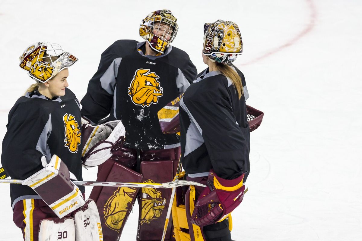 Vermont Catamounts at Minnesota Duluth Bulldogs Womens Hockey