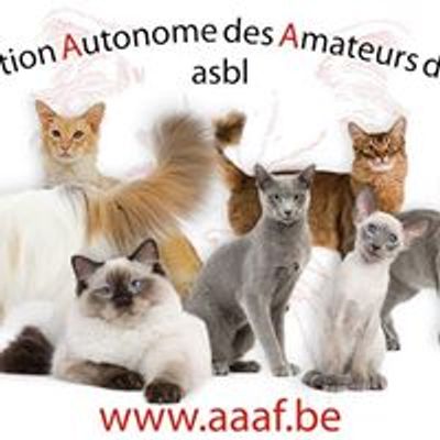 Association Autonome des Amateurs de F\u00e9lins ASBL