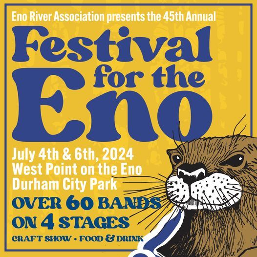 DM at Festival for the Eno