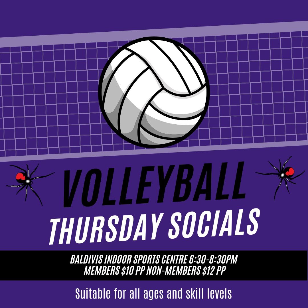 SATURDAY SOCIAL VOLLEYBALL