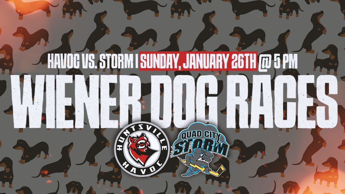 Huntsville Havoc - Wiener Dog Races