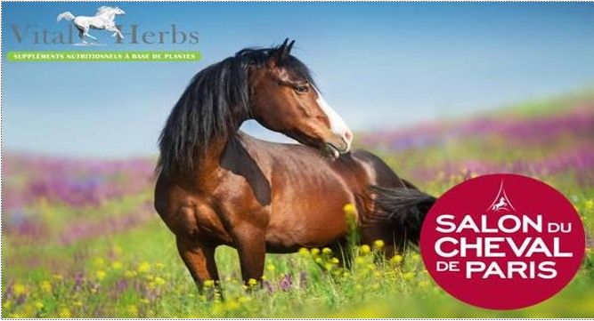 \ud83c\udf3f\ud83c\udf3f\ud83c\udf3fVital'Herbs au Salon du Cheval de Paris 2024\ud83c\udf3f\ud83c\udf3f\ud83c\udf3f