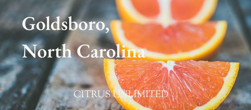 Citrus Sale - Goldsboro, NC from 9:00 - 10:00 am at McCall's BBQ