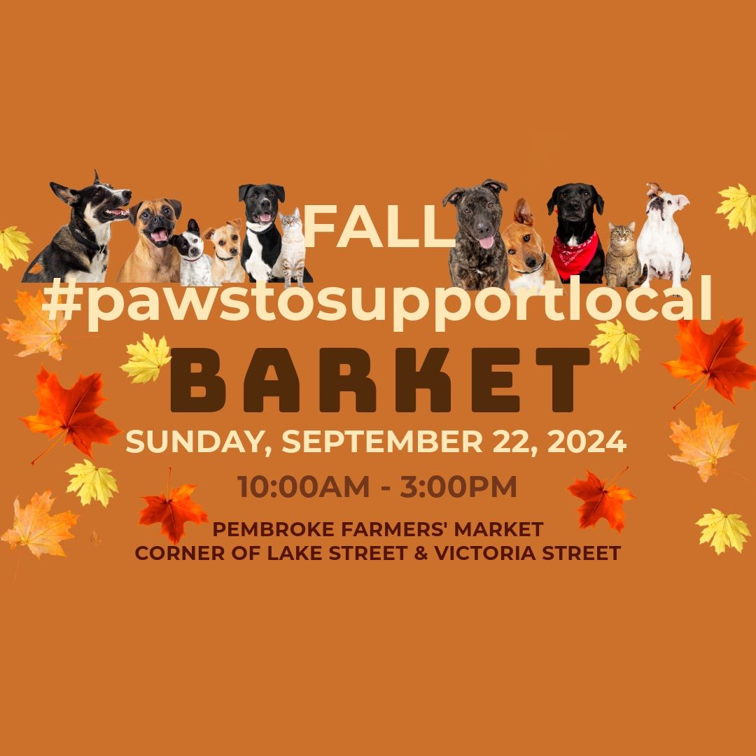 Fall #pawstosupportlocal Barket