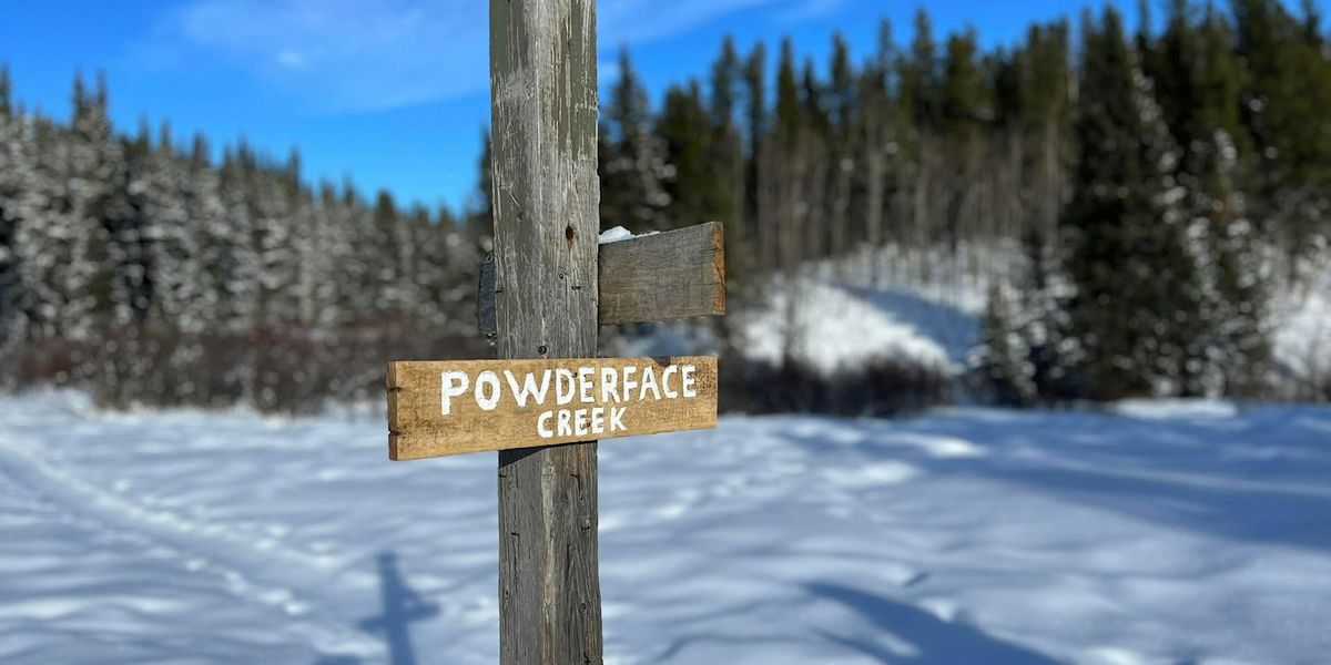 Beginner  Guided Snowshoe at Powderface Creek  3BL (Bragg Creek Area)