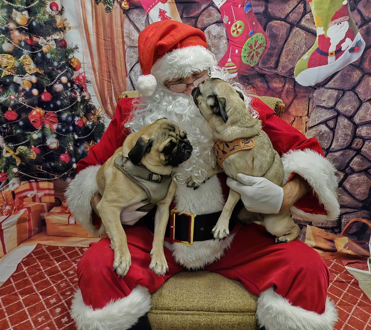 Pet Photos w\/ Santa & Holiday Party