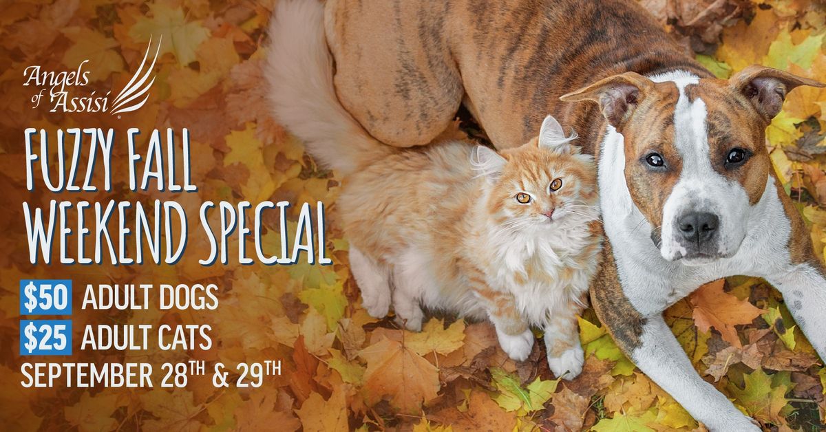 Fuzzy Fall Adoption Special