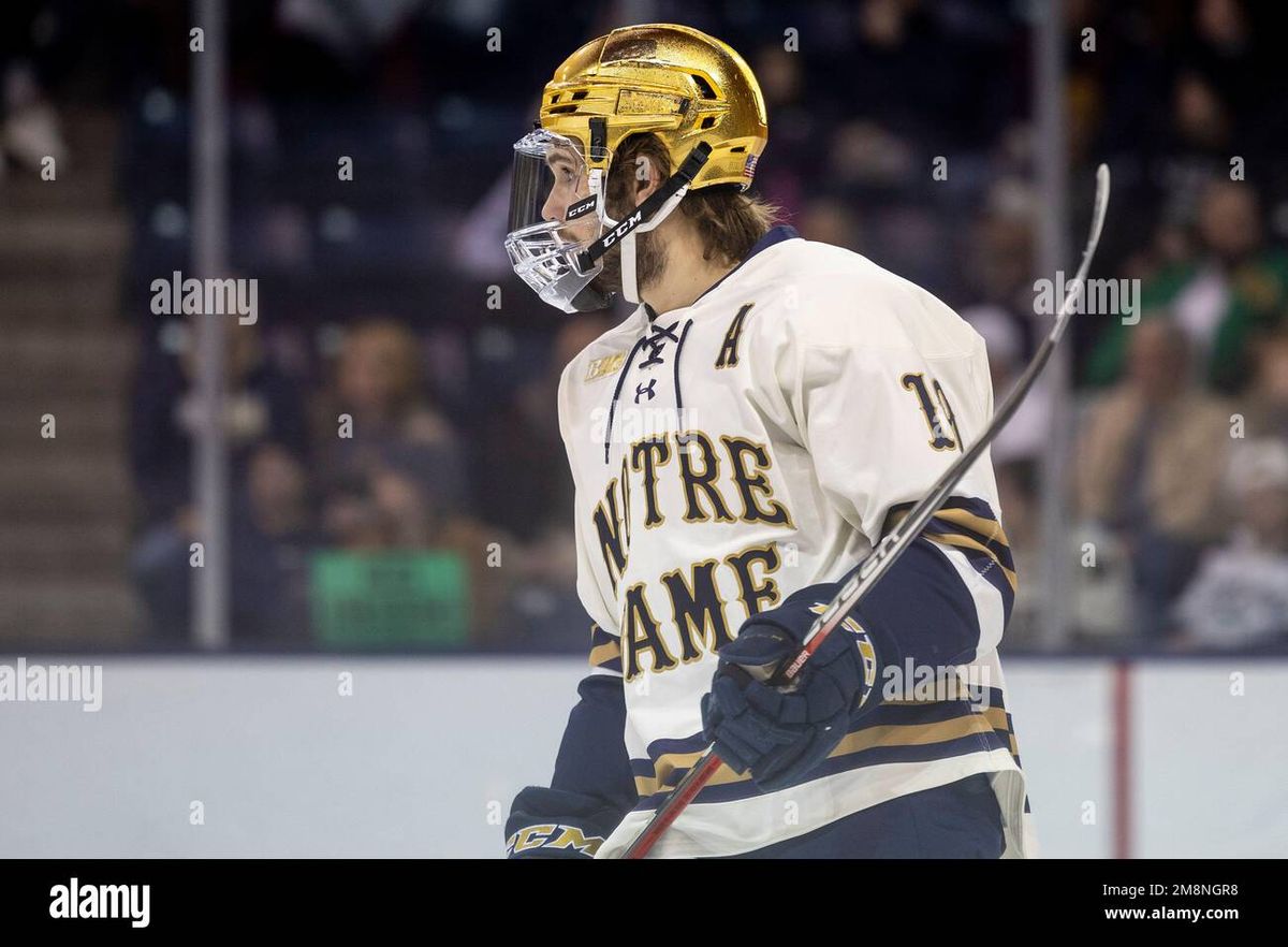 Minnesota Golden Gophers at Notre Dame Fighting Irish Hockey