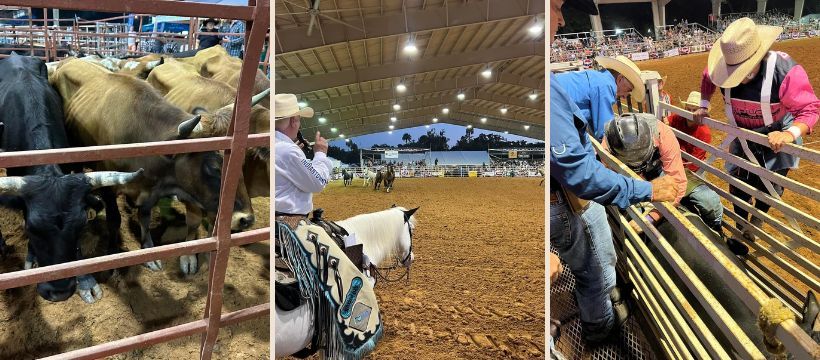 Indiantown Chamber PRCA Rodeo - Friday 