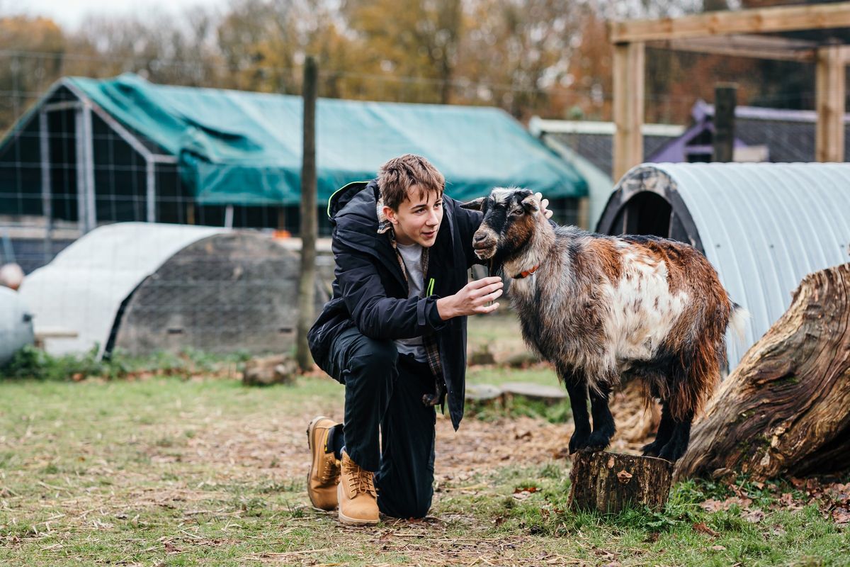 Education Workshop: Goat Grooming and Bug Hunts