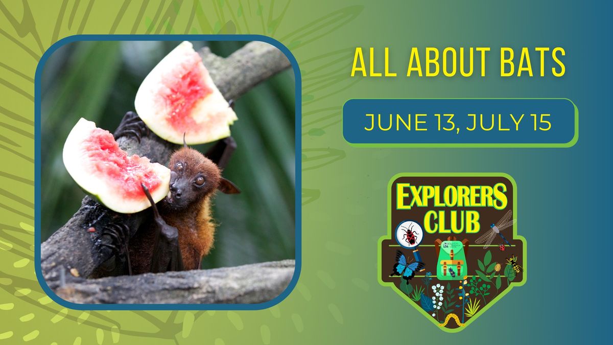 Explorers Club: All About Bats