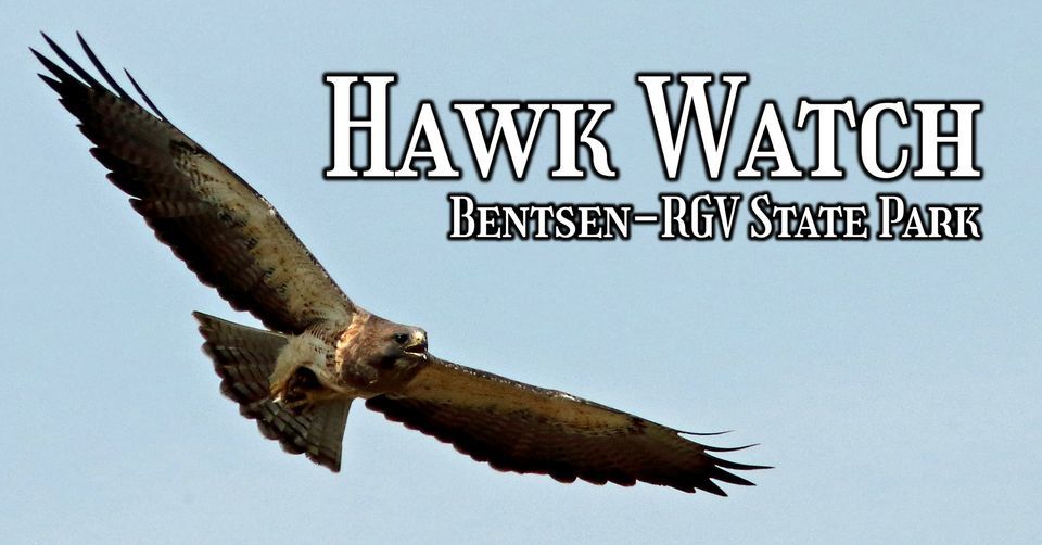 Hawk Watch