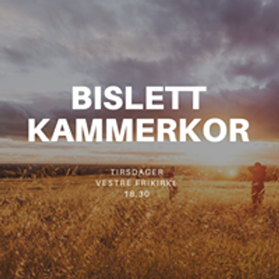 Bislett Kammerkor