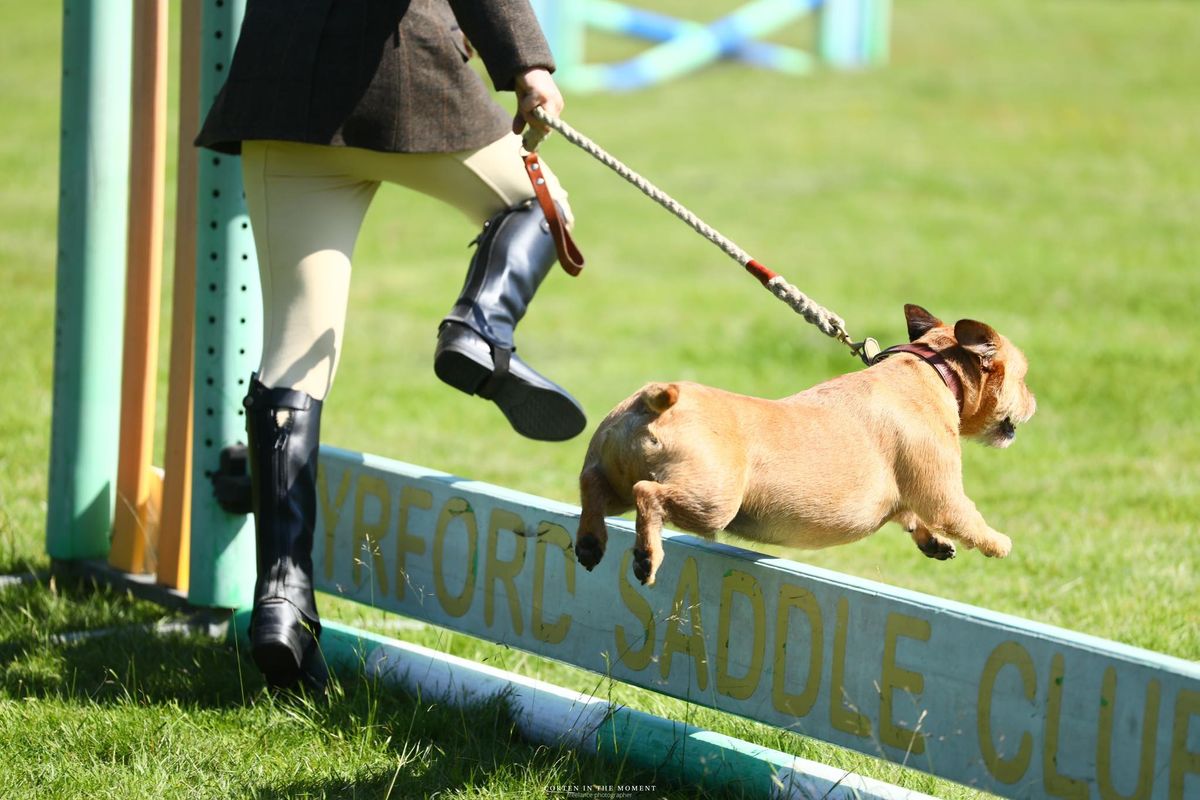 Open Show with Sunshine Tour Qualifiers 