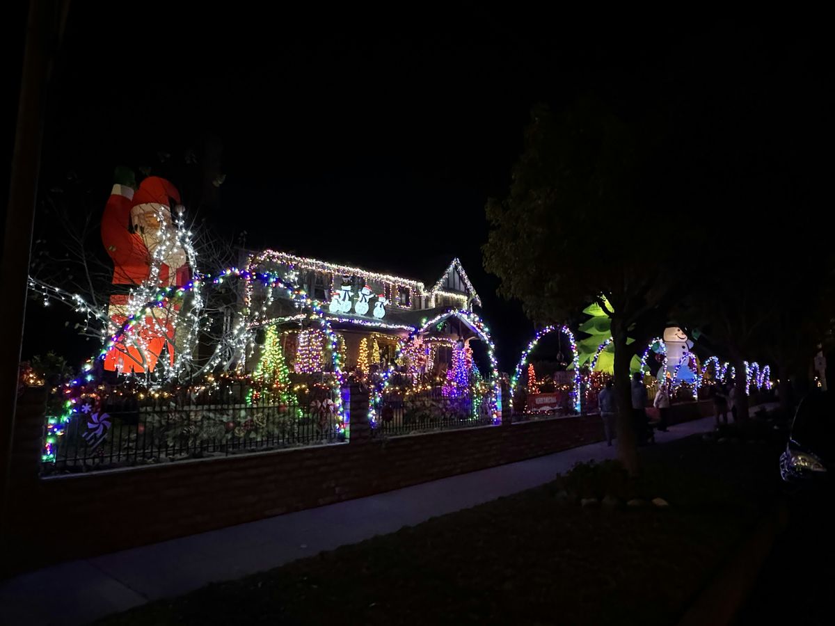 Historical Henry Levy House Christmas Home Tours