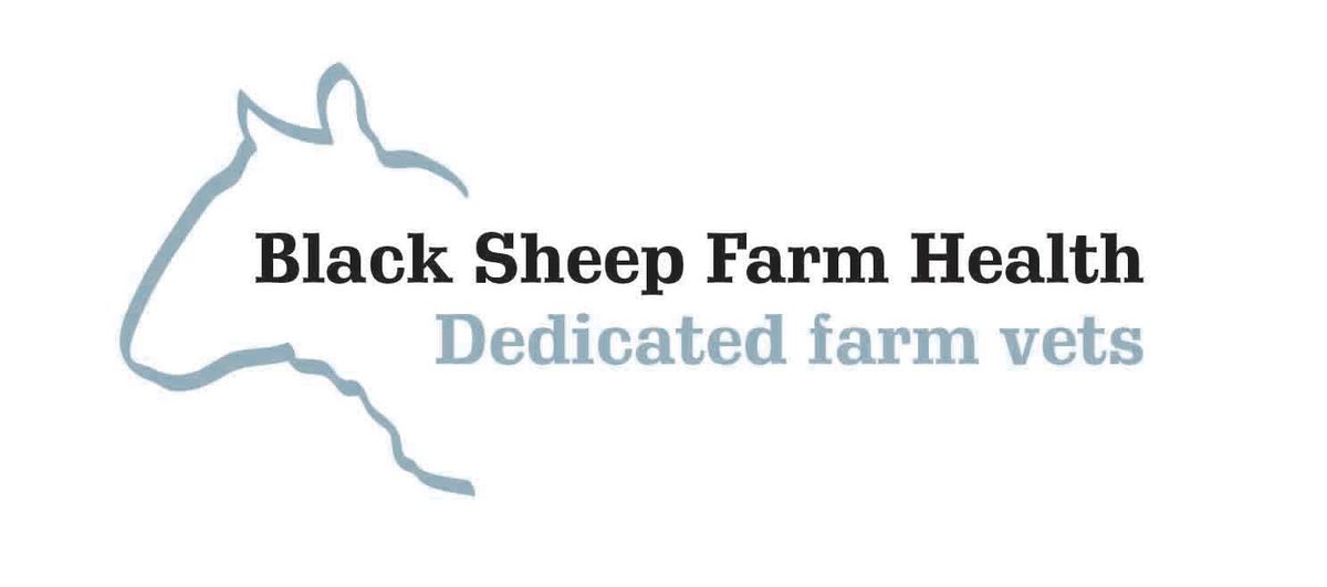 Lambing Course 2025