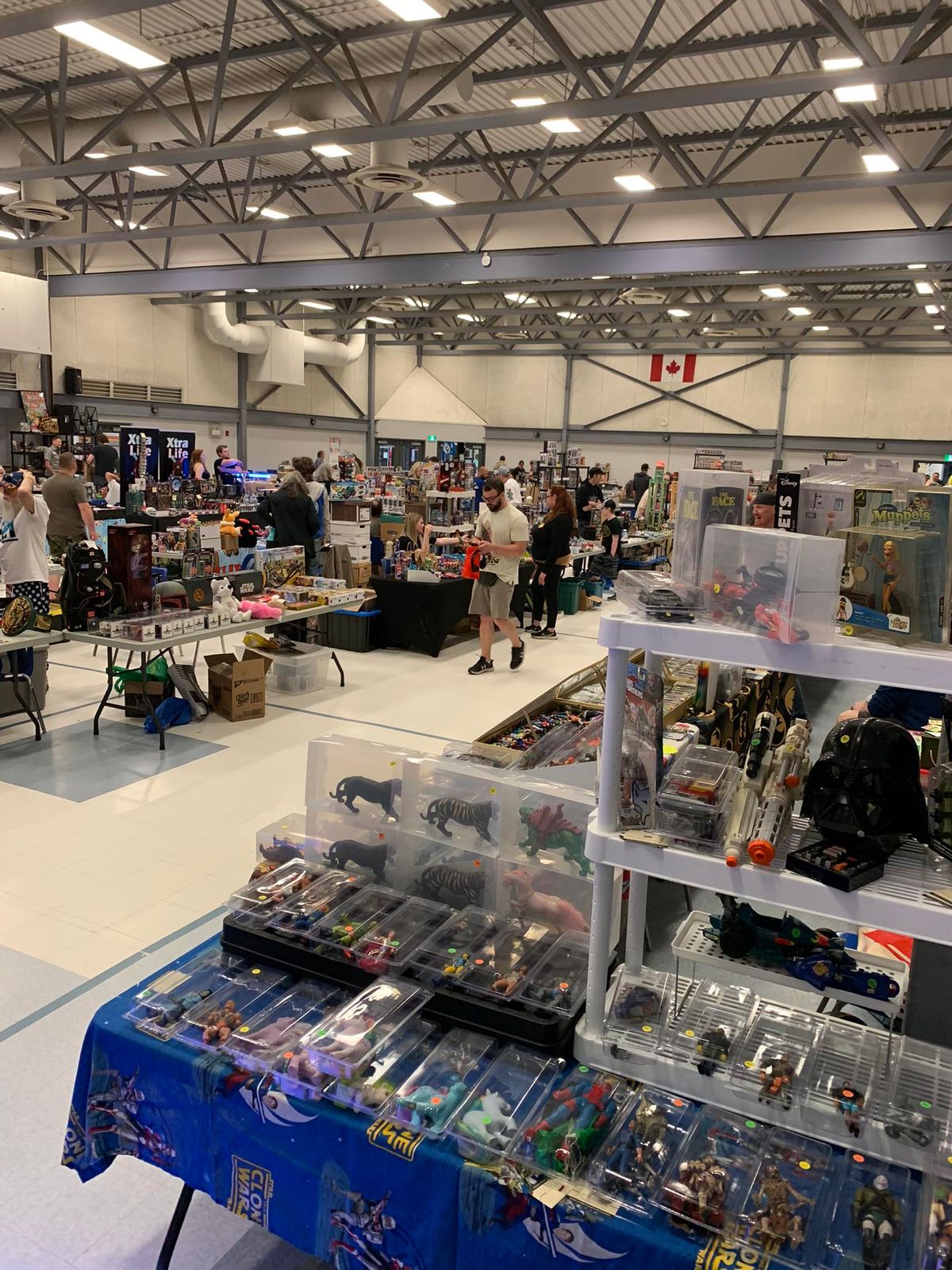 Trinkets Toy & Collectibles Show