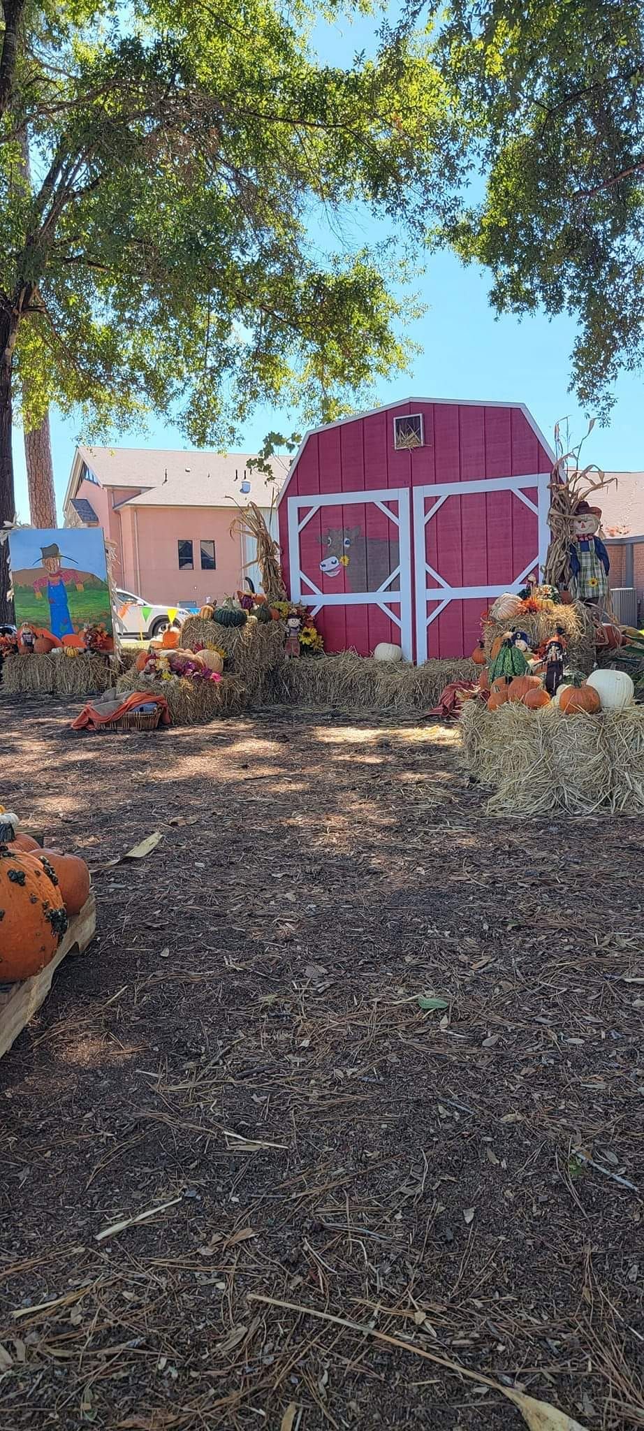 Pumpkin Patch Homeschool Trip