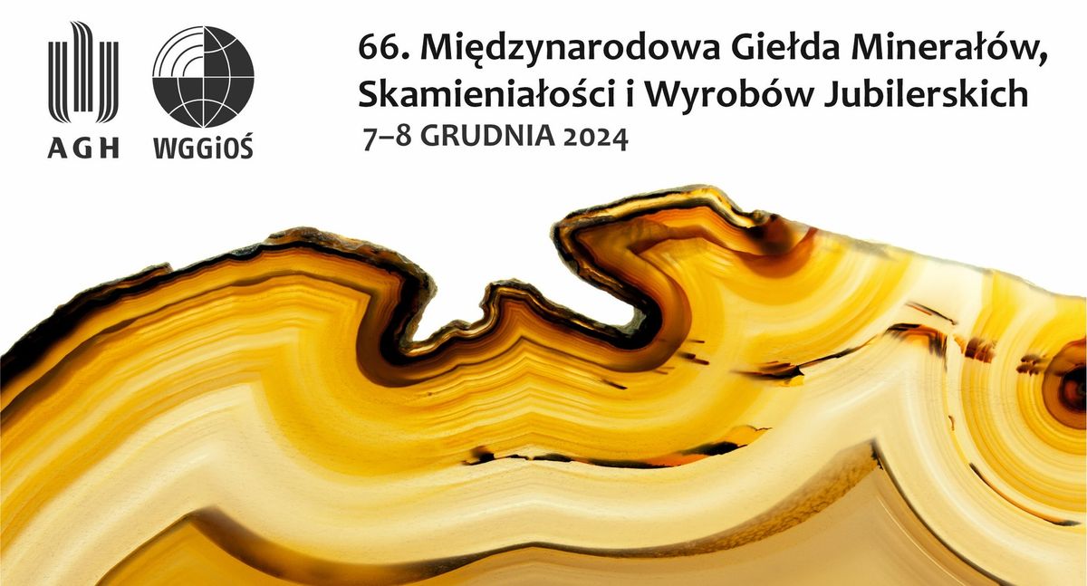 66. Mi\u0119dzynarodowa Gie\u0142da Minera\u0142\u00f3w, Skamienia\u0142o\u015bci i Wyrob\u00f3w Jubilerskich