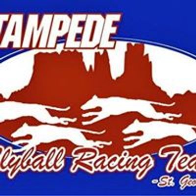 Stampede Flyball Racing Team