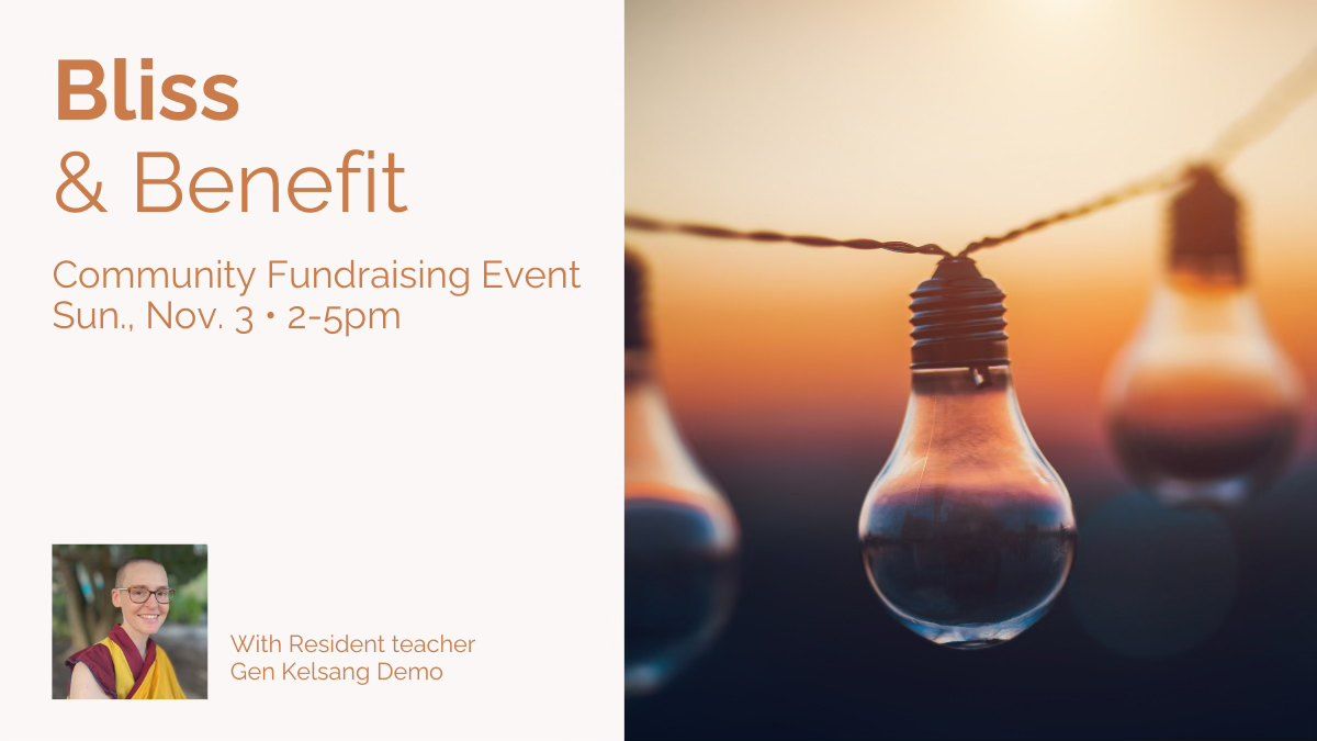 Bliss and Benefit- Community Fundraising Event